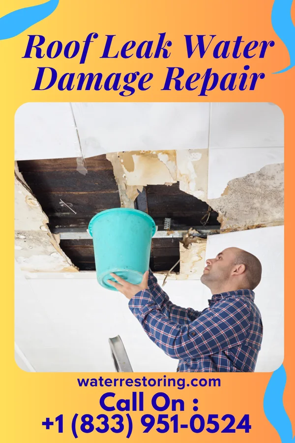 Roof Leak Water Damage Repair in Cobalt, MO