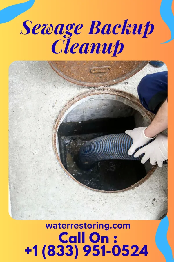 Sewage Backup Cleanup in Cobalt, MO