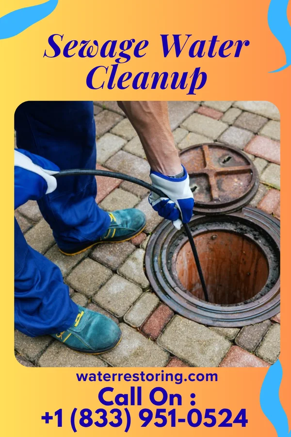 Sewage Water Cleanup in Cobalt, MO