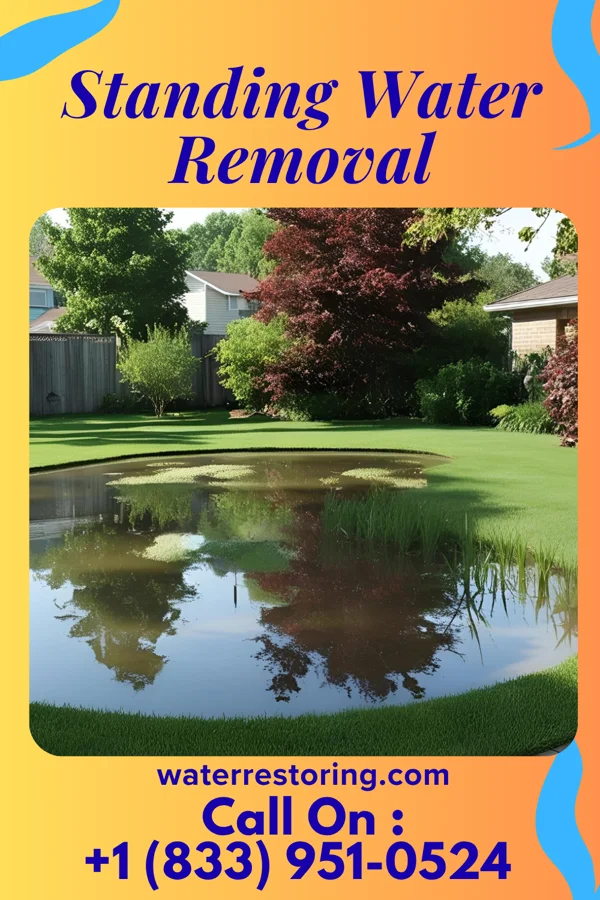 Standing Water Removal in Cobalt, MO